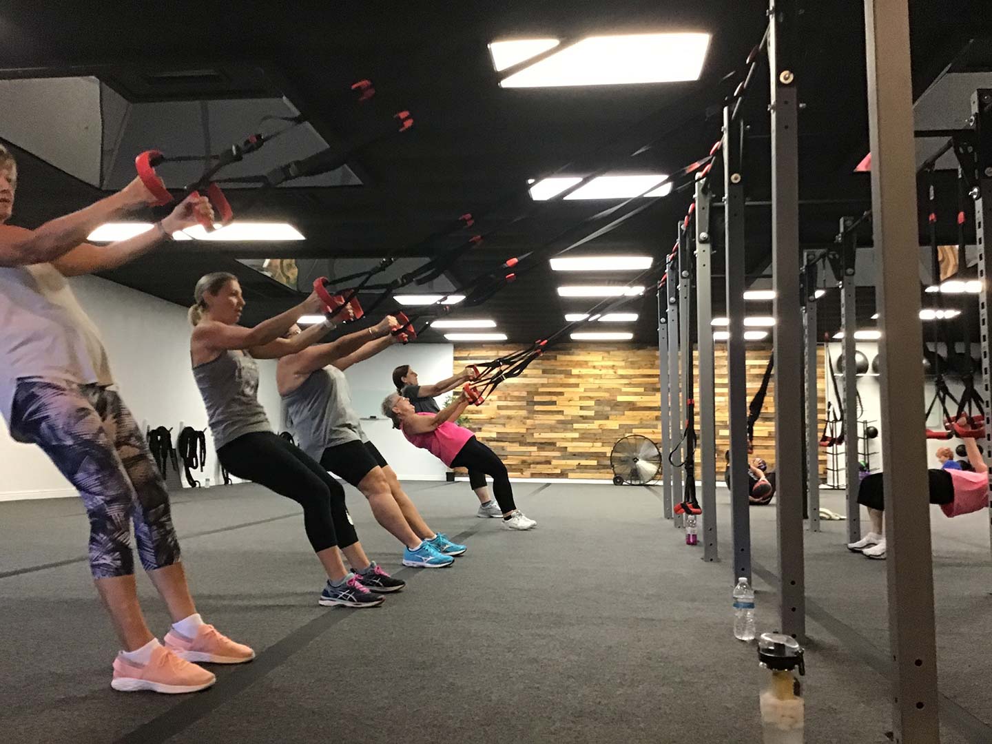 Palm Harbor Boot Camp Training on a TRX Frame
